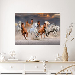 Plakat samoprzylepny Stado koni galopujących w pustynnym kurzu podczas zachódu słońca
