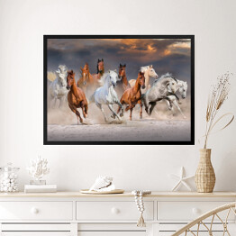 Obraz w ramie Stado koni galopujących w pustynnym kurzu podczas zachódu słońca