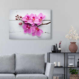 Obraz na płótnie Różowy storczyk leżący na lustrze