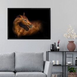 Obraz w ramie Piękny portret brązowego konia