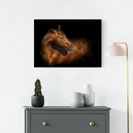 Obraz na płótnie Piękny portret brązowego konia