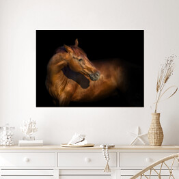 Plakat samoprzylepny Piękny portret brązowego konia