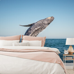 Fototapeta Wieloryb wyskakujący z oceanu