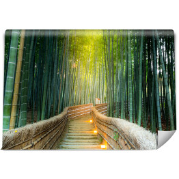 Fototapeta winylowa zmywalna Arashiyama - las bambusowy