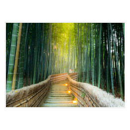Plakat samoprzylepny Arashiyama - las bambusowy
