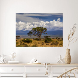 Plakat Piękny krajobraz Afryki na tle Kilimandżaro