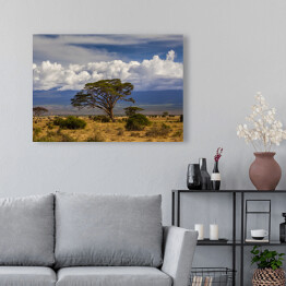 Obraz na płótnie Piękny krajobraz Afryki na tle Kilimandżaro