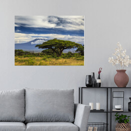 Plakat Piękny krajobraz Afryki na tle Kilimandżaro