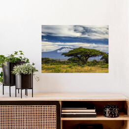 Plakat samoprzylepny Piękny krajobraz Afryki na tle Kilimandżaro