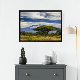 Obraz w ramie Piękny krajobraz Afryki na tle Kilimandżaro
