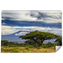 Fototapeta winylowa zmywalna Piękny krajobraz Afryki na tle Kilimandżaro