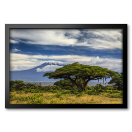 Obraz w ramie Piękny krajobraz Afryki na tle Kilimandżaro