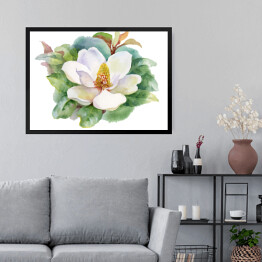 Akwarela - kwiat magnolii