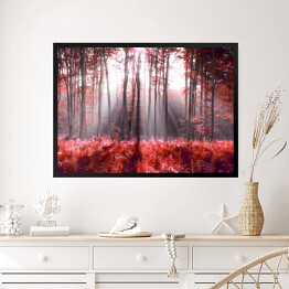 Obraz w ramie Jesienne, czerwone liście w lesie