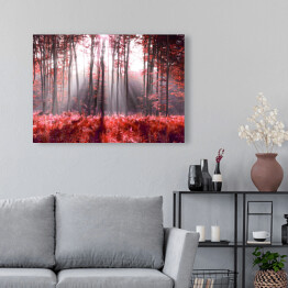 Obraz na płótnie Jesienne, czerwone liście w lesie