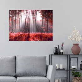 Plakat Jesienne, czerwone liście w lesie