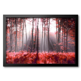 Obraz w ramie Jesienne, czerwone liście w lesie
