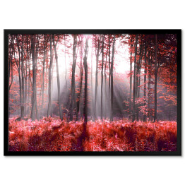 Plakat w ramie Jesienne, czerwone liście w lesie