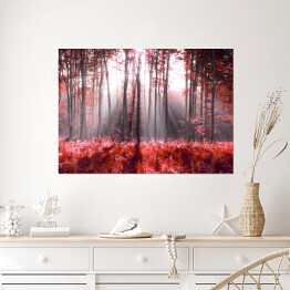 Plakat samoprzylepny Jesienne, czerwone liście w lesie
