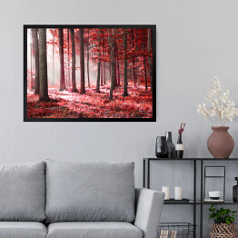 Obraz w ramie Czerwony jesienny las