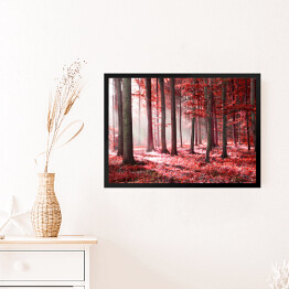 Obraz w ramie Czerwony jesienny las