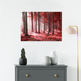 Plakat samoprzylepny Czerwony jesienny las