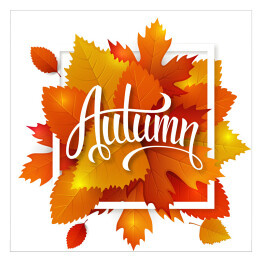 Plakat samoprzylepny Napis na tle jesiennych liści 