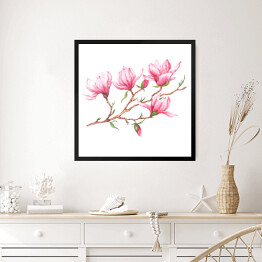 Akwarela - różowa magnolia na białym tle