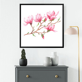 Obraz w ramie Akwarela - różowa magnolia na białym tle