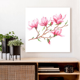 Akwarela - różowa magnolia na białym tle