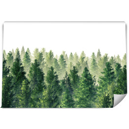 Fototapeta samoprzylepna Zielony las we mgle - ilustracja