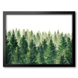 Obraz w ramie Zielony las we mgle - ilustracja