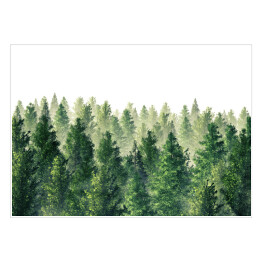 Plakat samoprzylepny Zielony las we mgle - ilustracja