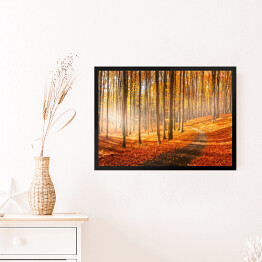 Obraz w ramie Czerwona i żółta jesień w bukowym lesie