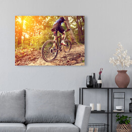 Obraz na płótnie Jazda na rowerze w blasku slońca