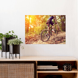Plakat Jazda na rowerze w blasku slońca