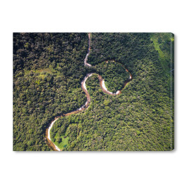 Obraz na płótnie Odgórny widok na rzekę w tropikalnym lesie deszczowym, Brazylia