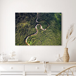 Obraz na płótnie Odgórny widok na rzekę w tropikalnym lesie deszczowym, Brazylia