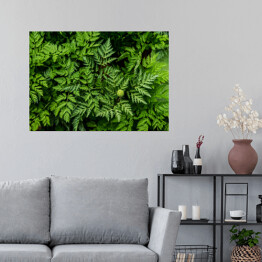 Plakat samoprzylepny Wiosenne rośliny zielone w Azji