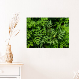 Plakat samoprzylepny Wiosenne rośliny zielone w Azji