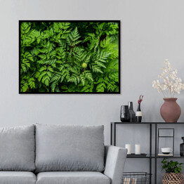 Plakat w ramie Wiosenne rośliny zielone w Azji