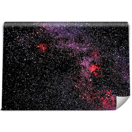 Fototapeta winylowa zmywalna Niebo z dużą ilością gwiazd