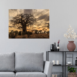 Plakat Stary baobab o zmierzchu, Tanzania