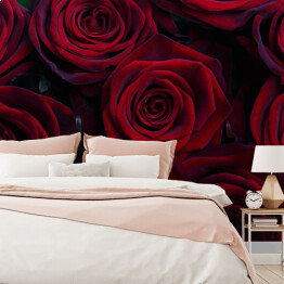 Fototapeta samoprzylepna Róże w kolorze czerwonego wina