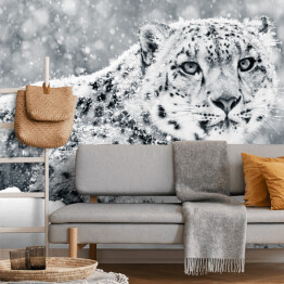 Śnieżny leopard w swoim środowisku naturalnym