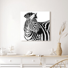 Zebra patrząca w bok