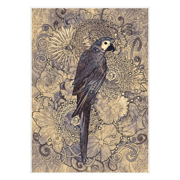 Plakat Papuga na wzorzystym tle w odcieniach szarości