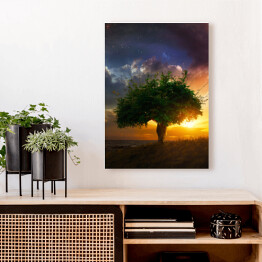 Obraz na płótnie Samotne drzewo na tle zachodu słońca