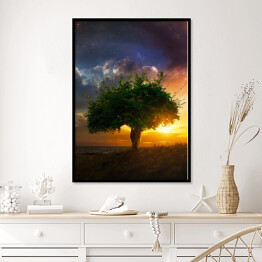 Plakat w ramie Samotne drzewo na tle zachodu słońca