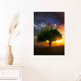 Plakat samoprzylepny Samotne drzewo na tle zachodu słońca